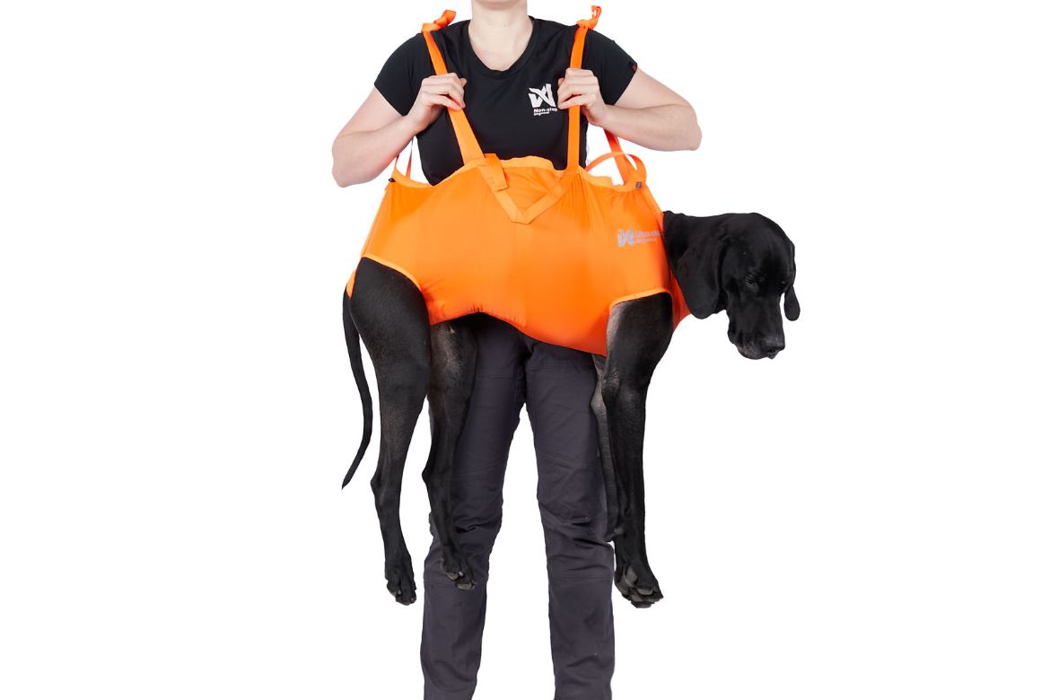 Non-stop dogwear Dog rescue sling pro  Fjellklar Sport 1